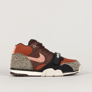 Nike SB x Arts-Rec Air Trainer 1 Limestone